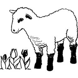 Dibujo Cordero (Animales) #184269 para imprimir y colorear