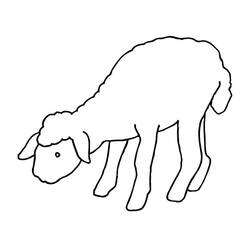 Dibujo Cordero (Animales) #184271 para imprimir y colorear