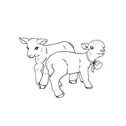 Dibujo Cordero (Animales) #184279 para imprimir y colorear