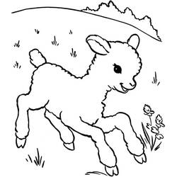 Dibujo Cordero (Animales) #184281 para imprimir y colorear