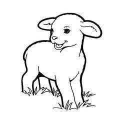 Dibujo Cordero (Animales) #184282 para imprimir y colorear