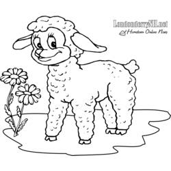 Dibujo para colorear: Cordero (Animales) #210 - Dibujos para Colorear e Imprimir Gratis