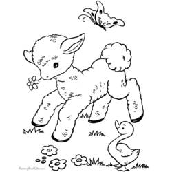 Dibujo para colorear: Cordero (Animales) #214 - Dibujos para Colorear e Imprimir Gratis