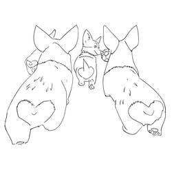 Corgi - Dibujos para colorear gratis
