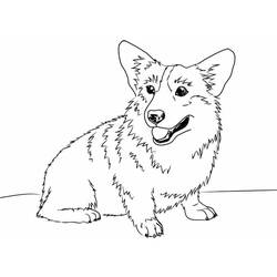 Dibujo Corgi (Animales) #220758 para imprimir y colorear