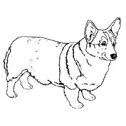 Dibujo Corgi (Animales) #220767 para imprimir y colorear
