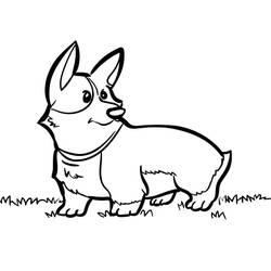 Dibujo Corgi (Animales) #220777 para imprimir y colorear