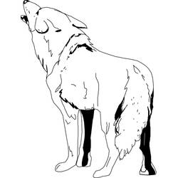 Dibujo Coyote (Animales) #207092 para imprimir y colorear