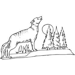 Dibujo Coyote (Animales) #207097 para imprimir y colorear