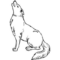Dibujos para colorear: Coyote - Dibujos para colorear