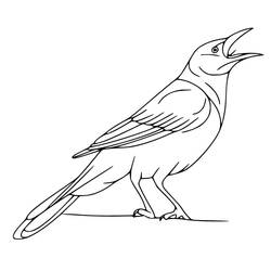 Dibujo para colorear: Cuervo (Animales) #208992 - Dibujos para Colorear e Imprimir Gratis