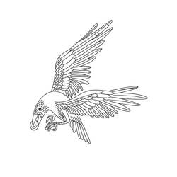 Dibujo para colorear: Cuervo (Animales) #209010 - Dibujos para Colorear e Imprimir Gratis