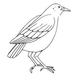 Dibujo para colorear: Cuervo (Animales) #209011 - Dibujos para Colorear e Imprimir Gratis