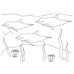 Dibujo para colorear: Delfín (Animales) #5109 - Dibujos para Colorear e Imprimir Gratis