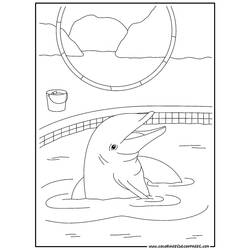 Dibujo para colorear: Delfín (Animales) #5122 - Dibujos para Colorear e Imprimir Gratis