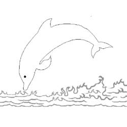 Dibujo para colorear: Delfín (Animales) #5278 - Dibujos para Colorear e Imprimir Gratis