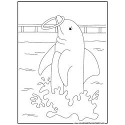 Dibujo para colorear: Delfín (Animales) #5281 - Dibujos para Colorear e Imprimir Gratis