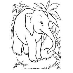 Dibujo Elefante (Animales) #175067 para imprimir y colorear