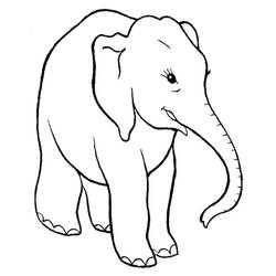 Dibujo Elefante (Animales) #175092 para imprimir y colorear