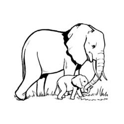 Dibujo para colorear: Elefante (Animales) #6300 - Dibujos para Colorear e Imprimir Gratis