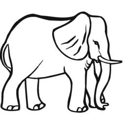 Dibujo para colorear: Elefante (Animales) #6401 - Dibujos para Colorear e Imprimir Gratis