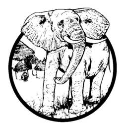 Dibujo para colorear: Elefante (Animales) #6485 - Dibujos para Colorear e Imprimir Gratis