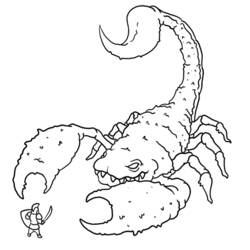 Dibujo para colorear: Escorpión (Animales) #14537 - Dibujos para Colorear e Imprimir Gratis
