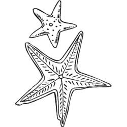Dibujo para colorear: Estrella de mar (Animales) #6708 - Dibujos para Colorear e Imprimir Gratis