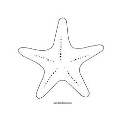 Dibujos para colorear: Estrella de mar - Dibujos para colorear