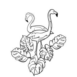 Dibujo Flamenco Rosa (Animales) #198787 para imprimir y colorear