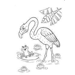 Dibujo Flamenco Rosa (Animales) #198792 para imprimir y colorear