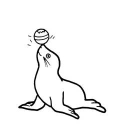Dibujo Foca (Animales) #16262 para imprimir y colorear