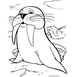 Dibujo Foca (Animales) #16273 para imprimir y colorear