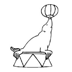 Dibujo Foca (Animales) #16284 para imprimir y colorear