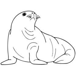 Dibujo Foca (Animales) #16290 para imprimir y colorear