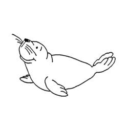 Dibujo Foca (Animales) #16296 para imprimir y colorear