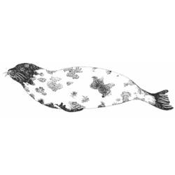 Dibujo Foca (Animales) #16339 para imprimir y colorear