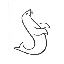 Dibujo Foca (Animales) #16372 para imprimir y colorear