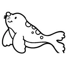 Dibujo Foca (Animales) #16390 para imprimir y colorear