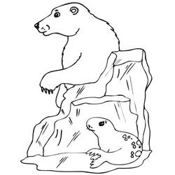 Dibujo Foca (Animales) #188069 para imprimir y colorear