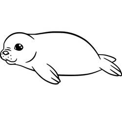Dibujo Foca (Animales) #188087 para imprimir y colorear