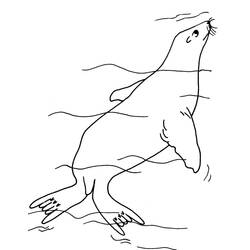 Dibujo Foca (Animales) #188098 para imprimir y colorear