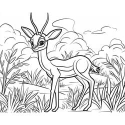 Dibujo para colorear: Gacela (Animales) #219901 - Dibujos para Colorear e Imprimir Gratis