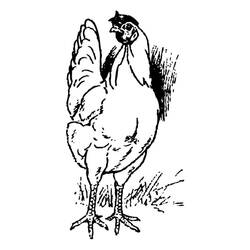 Dibujo para colorear: Gallina (Animales) #17460 - Dibujos para Colorear e Imprimir Gratis