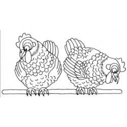 Dibujo para colorear: Gallina (Animales) #17589 - Dibujos para Colorear e Imprimir Gratis