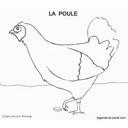 Dibujo para colorear: Gallina (Animales) #17602 - Dibujos para Colorear e Imprimir Gratis