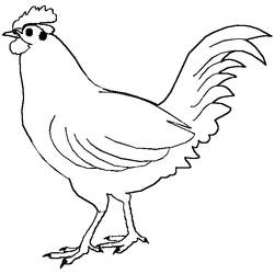Dibujo para colorear: Gallo (Animales) #4089 - Dibujos para Colorear e Imprimir Gratis