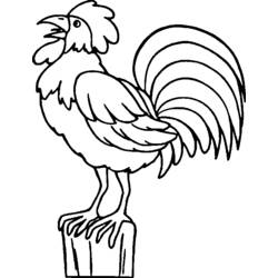 Dibujo para colorear: Gallo (Animales) #4100 - Dibujos para Colorear e Imprimir Gratis