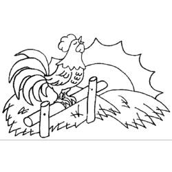 Dibujo para colorear: Gallo (Animales) #4156 - Dibujos para Colorear e Imprimir Gratis