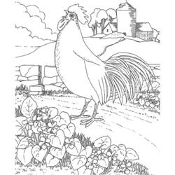 Dibujo para colorear: Gallo (Animales) #4215 - Dibujos para Colorear e Imprimir Gratis